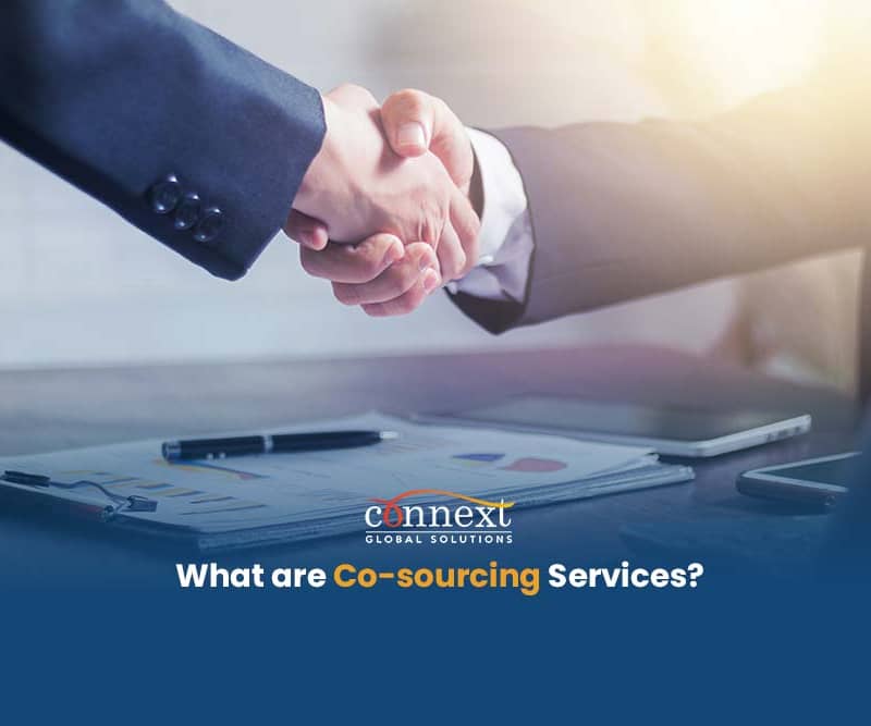 What are Co-sourcing Services?